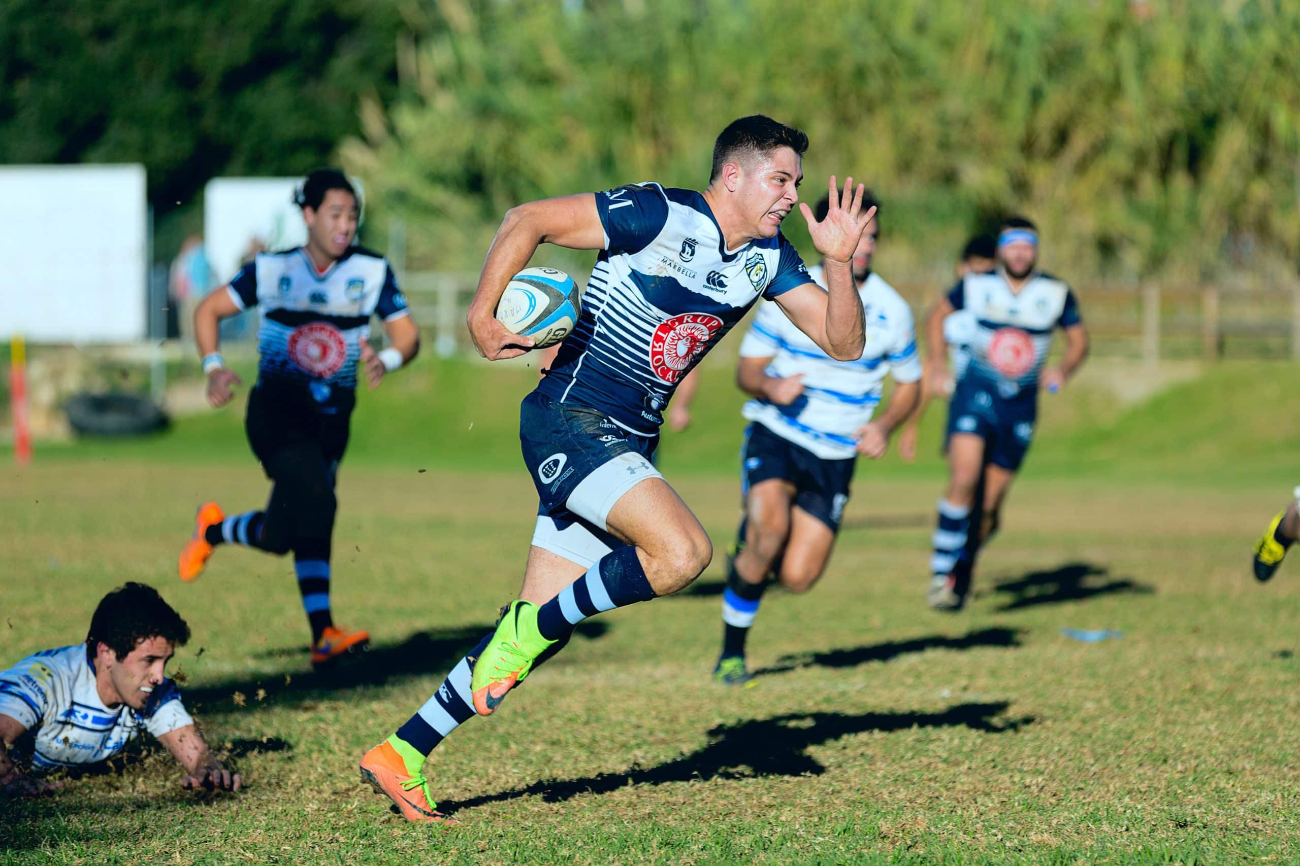 rugby